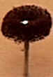 wpeA.jpg (1667 bytes)